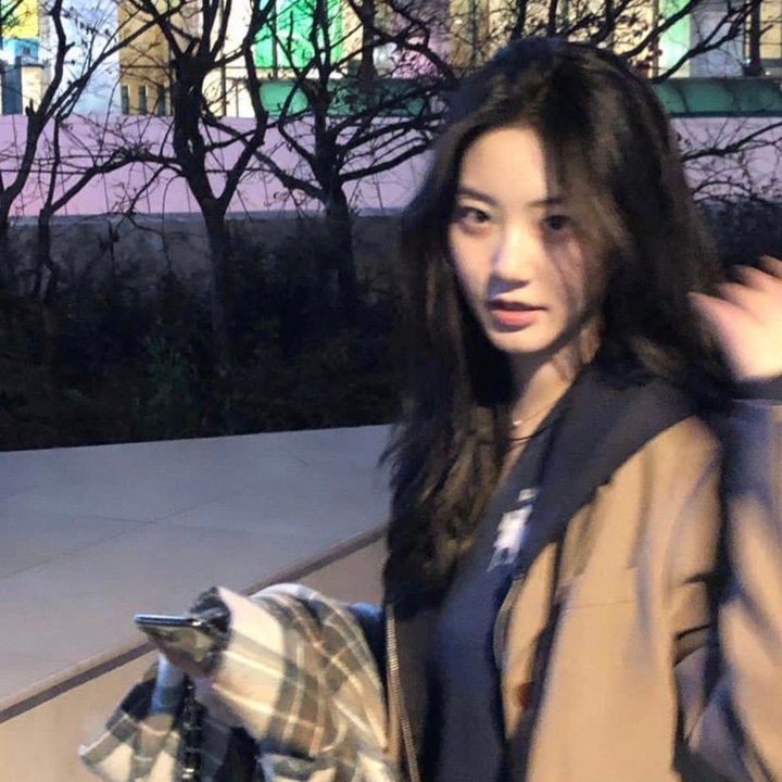韦伯斯特在欧洲