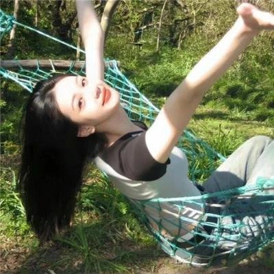 特禽鲨龙